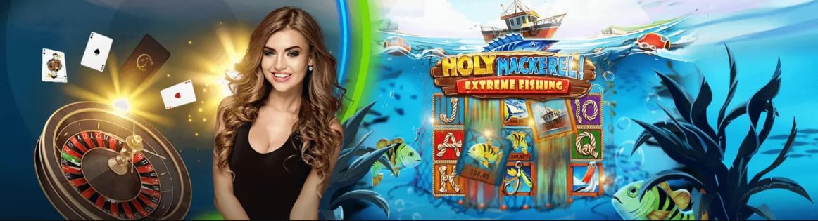 RD73 ကာစီနိုတွင် Slots နှင့် Live Casino ဂိမ်းများ ကစားနေသောမြင်ကွင်း